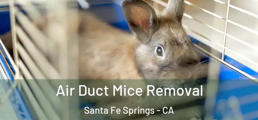 Air Duct Mice Removal Santa Fe Springs - CA