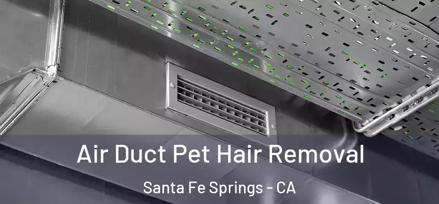 Air Duct Pet Hair Removal Santa Fe Springs - CA