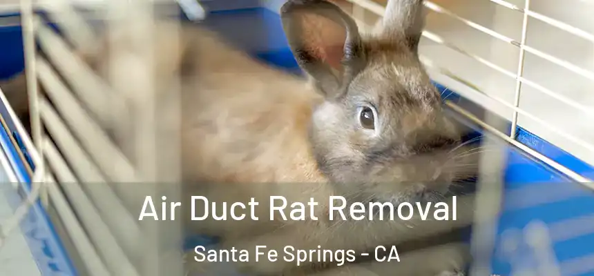Air Duct Rat Removal Santa Fe Springs - CA