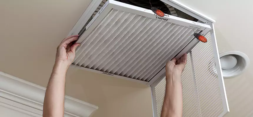 Preventive Cockroach-Proofing for Ducts in Santa Fe Springs