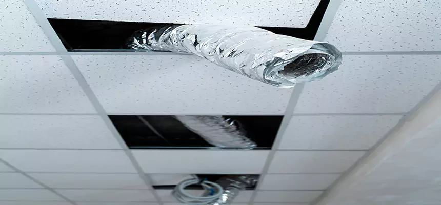 Our Air Duct Pet Hair Removal Services in Santa Fe Springs, CA