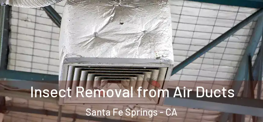  Insect Removal from Air Ducts Santa Fe Springs - CA
