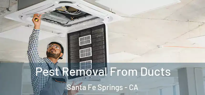  Pest Removal From Ducts Santa Fe Springs - CA
