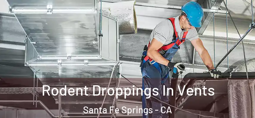  Rodent Droppings In Vents Santa Fe Springs - CA