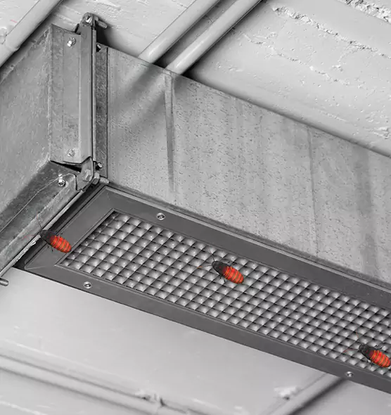 Affordable Insect Removal from Air Ducts in Santa Fe Springs, CA