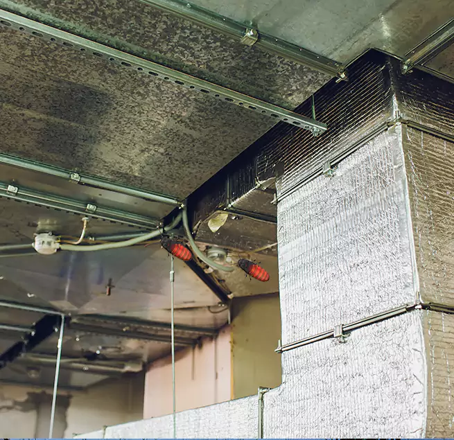 Why Homeowners & Businesses Trust Us in Santa Fe Springs, CA?