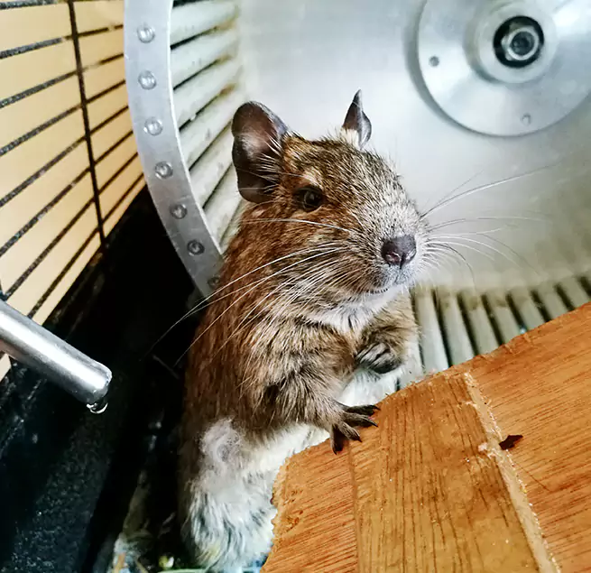 Why Homeowners & Businesses Trust Us Santa Fe Springs, CA?